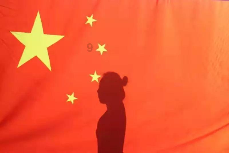 奥利维亚收养猫